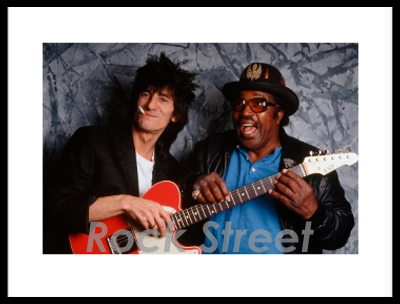 Ronnie Wood & Bo Diddley